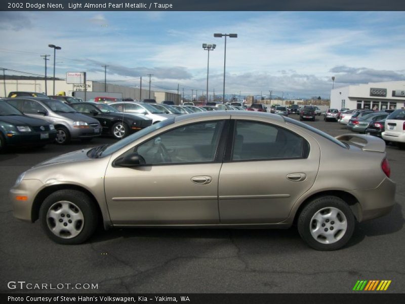 Light Almond Pearl Metallic / Taupe 2002 Dodge Neon