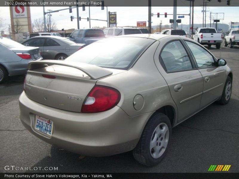Light Almond Pearl Metallic / Taupe 2002 Dodge Neon
