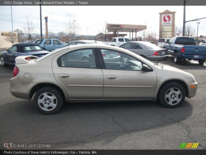 Light Almond Pearl Metallic / Taupe 2002 Dodge Neon