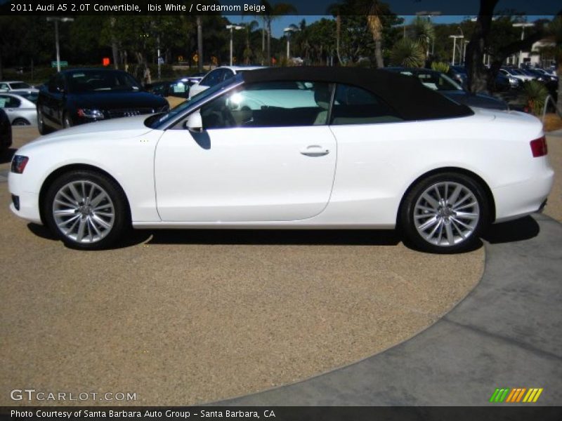 Ibis White / Cardamom Beige 2011 Audi A5 2.0T Convertible