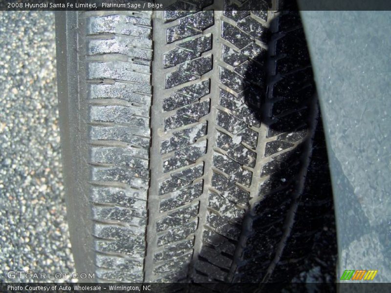 Platinum Sage / Beige 2008 Hyundai Santa Fe Limited