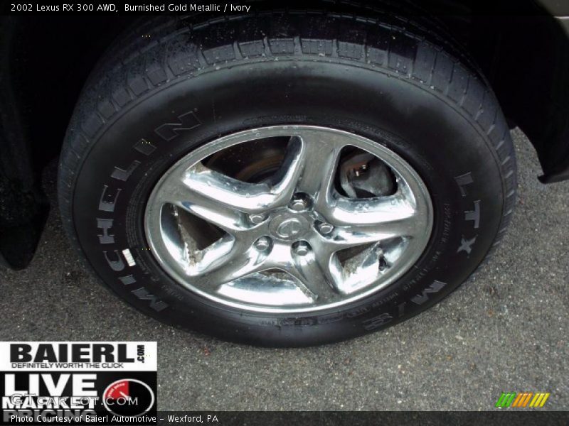 Burnished Gold Metallic / Ivory 2002 Lexus RX 300 AWD