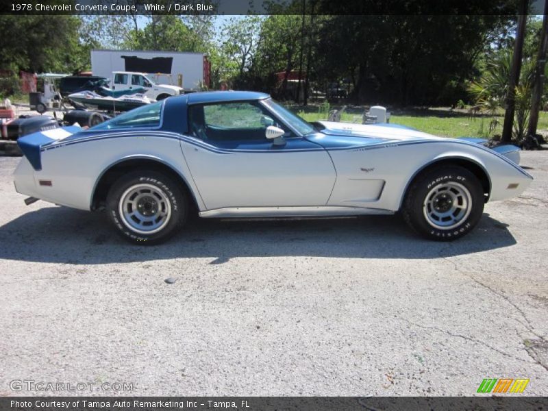 White / Dark Blue 1978 Chevrolet Corvette Coupe