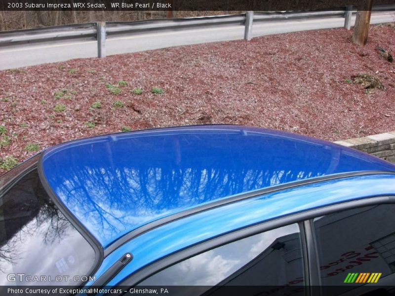 WR Blue Pearl / Black 2003 Subaru Impreza WRX Sedan