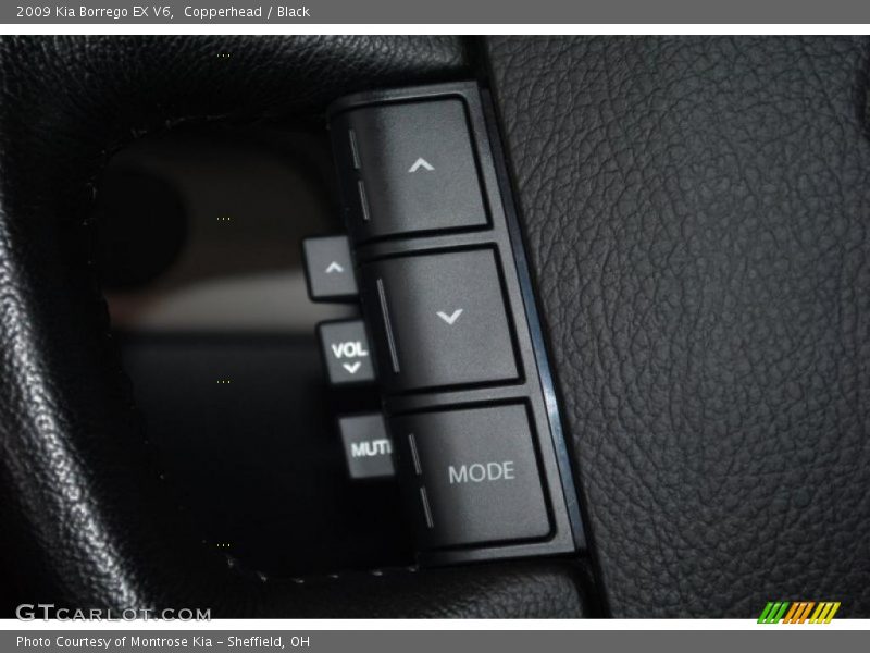 Copperhead / Black 2009 Kia Borrego EX V6