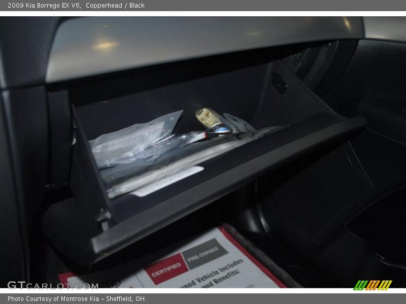 Copperhead / Black 2009 Kia Borrego EX V6