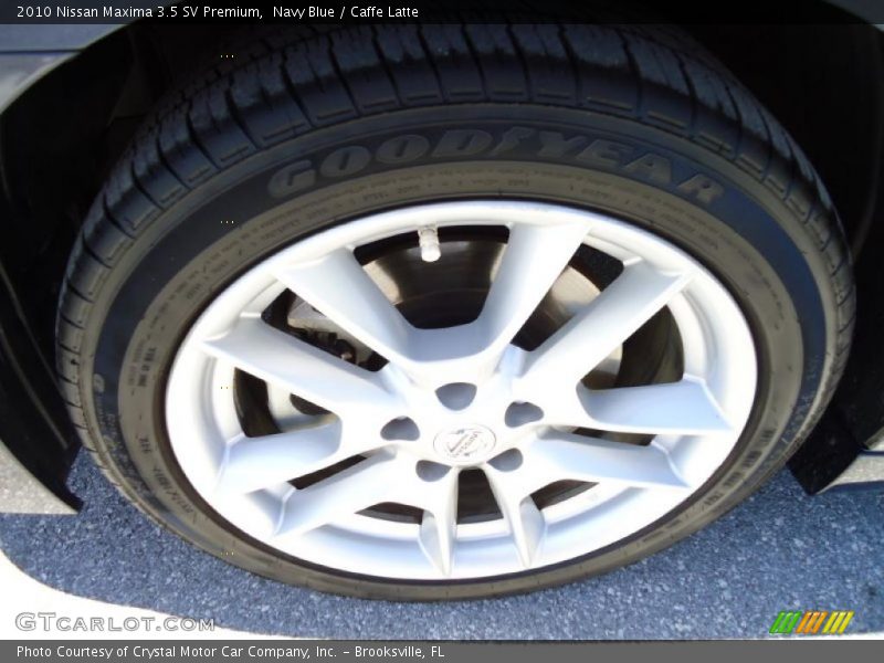 Navy Blue / Caffe Latte 2010 Nissan Maxima 3.5 SV Premium