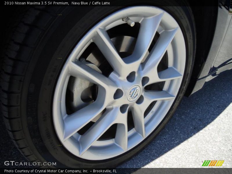 Navy Blue / Caffe Latte 2010 Nissan Maxima 3.5 SV Premium