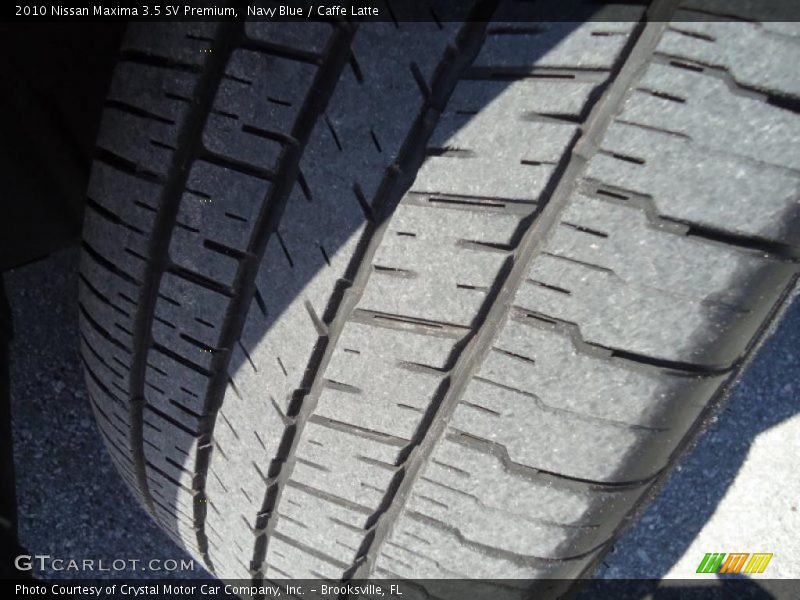 Navy Blue / Caffe Latte 2010 Nissan Maxima 3.5 SV Premium