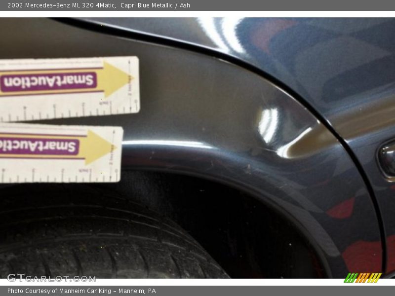 Capri Blue Metallic / Ash 2002 Mercedes-Benz ML 320 4Matic