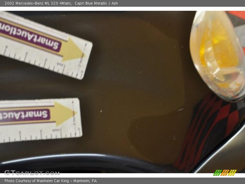 Capri Blue Metallic / Ash 2002 Mercedes-Benz ML 320 4Matic