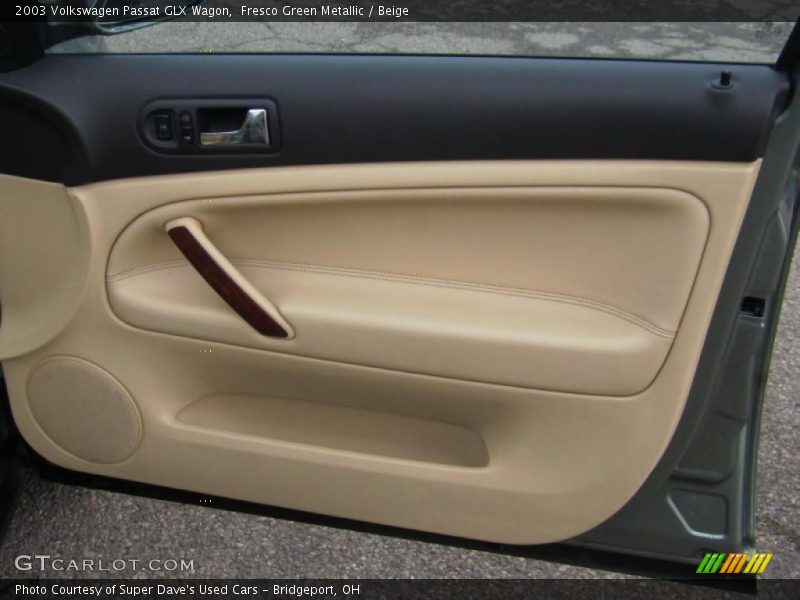 Door Panel of 2003 Passat GLX Wagon