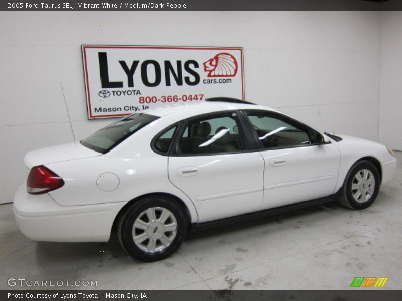 Vibrant White / Medium/Dark Pebble 2005 Ford Taurus SEL