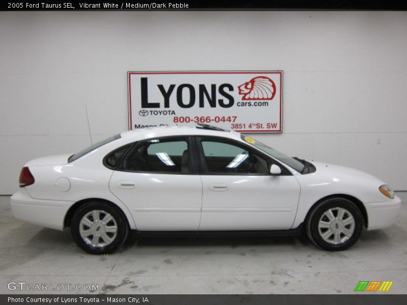 Vibrant White / Medium/Dark Pebble 2005 Ford Taurus SEL