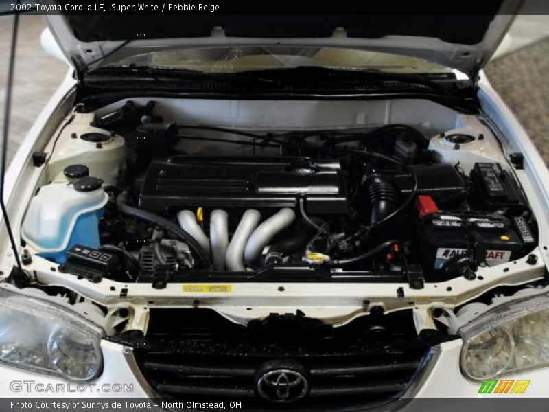 Super White / Pebble Beige 2002 Toyota Corolla LE