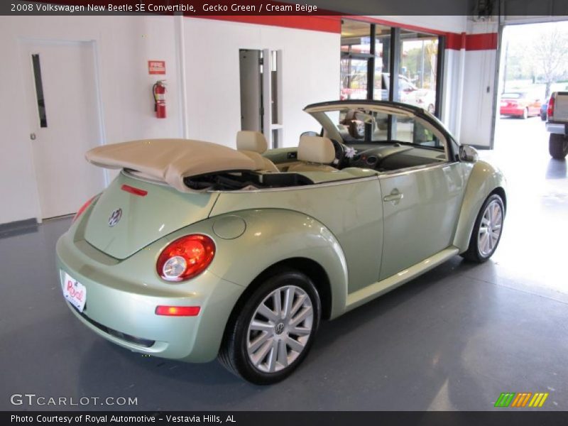 Gecko Green / Cream Beige 2008 Volkswagen New Beetle SE Convertible