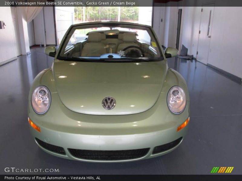 Gecko Green / Cream Beige 2008 Volkswagen New Beetle SE Convertible