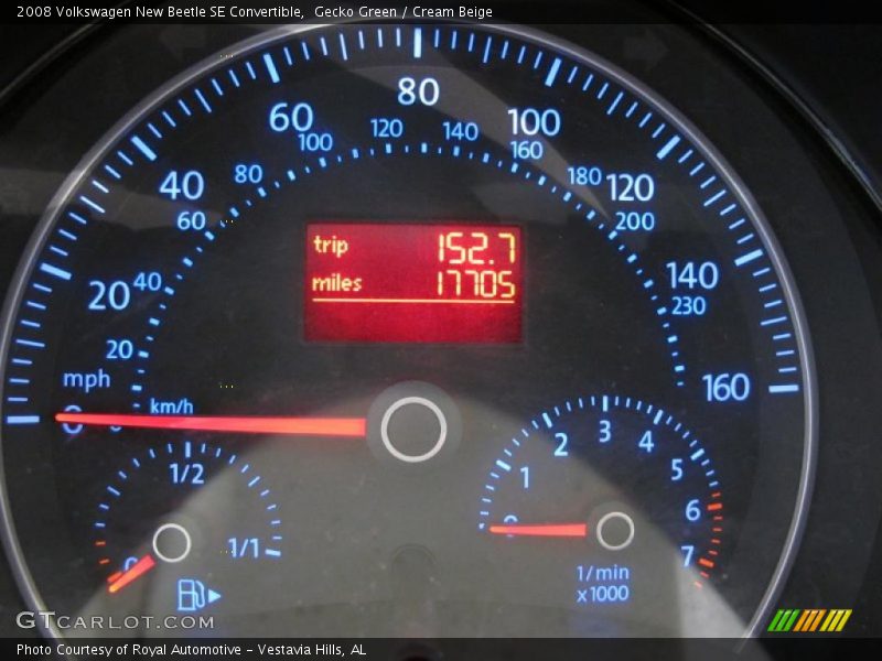 Gecko Green / Cream Beige 2008 Volkswagen New Beetle SE Convertible