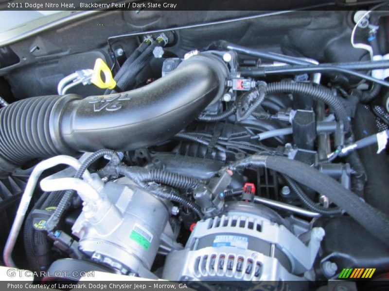 Blackberry Pearl / Dark Slate Gray 2011 Dodge Nitro Heat