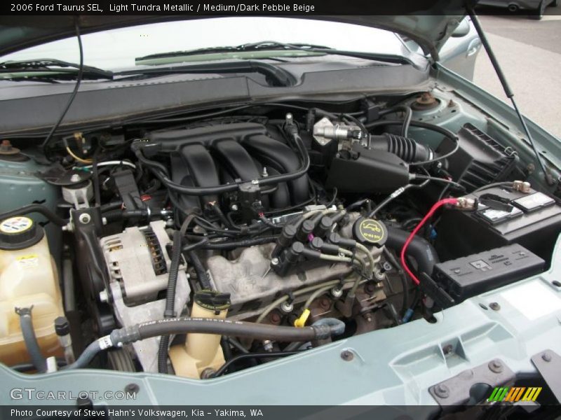 Light Tundra Metallic / Medium/Dark Pebble Beige 2006 Ford Taurus SEL