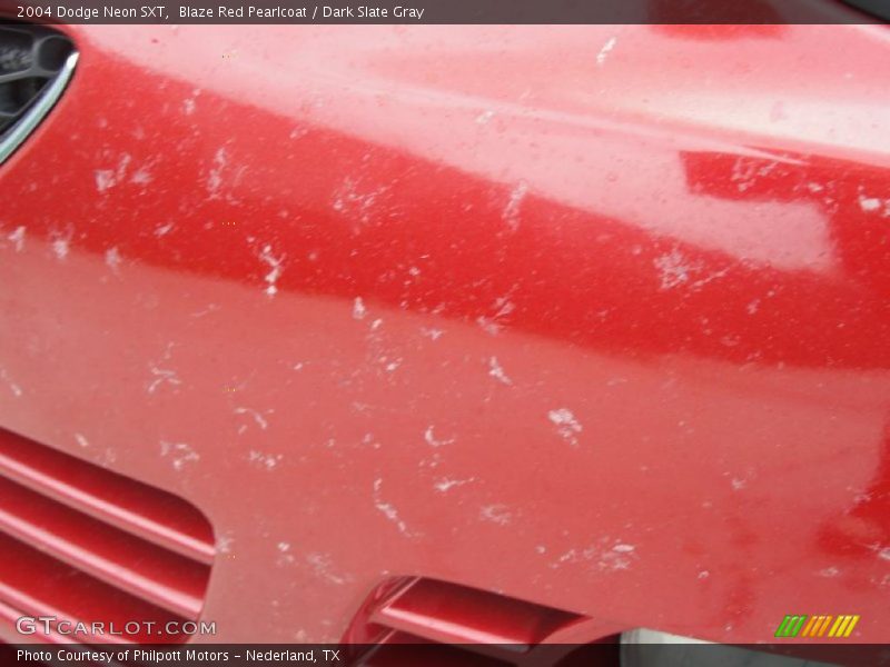 Blaze Red Pearlcoat / Dark Slate Gray 2004 Dodge Neon SXT