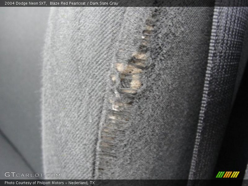 Blaze Red Pearlcoat / Dark Slate Gray 2004 Dodge Neon SXT