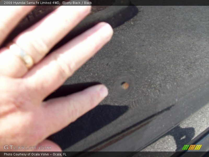 Ebony Black / Black 2009 Hyundai Santa Fe Limited 4WD