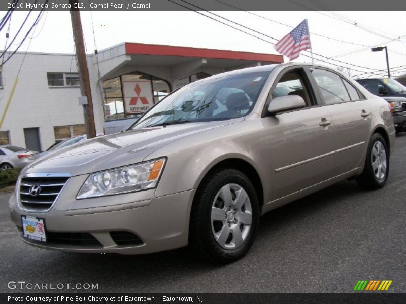 Camel Pearl / Camel 2010 Hyundai Sonata GLS