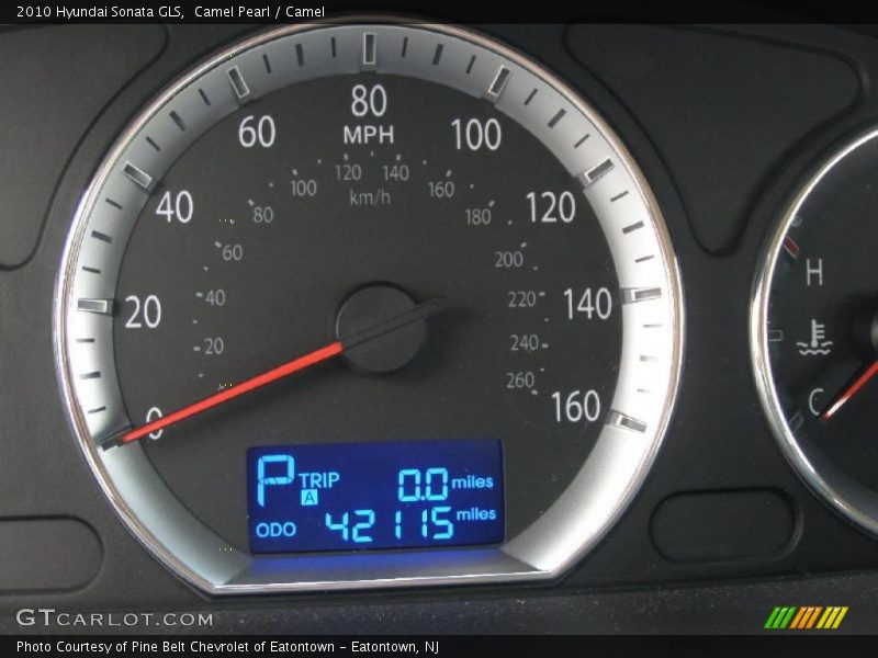Camel Pearl / Camel 2010 Hyundai Sonata GLS