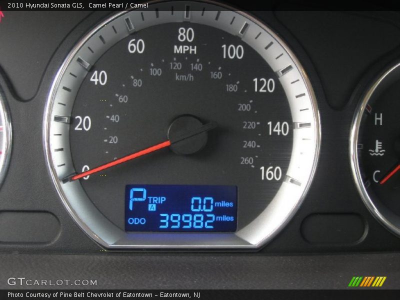 Camel Pearl / Camel 2010 Hyundai Sonata GLS