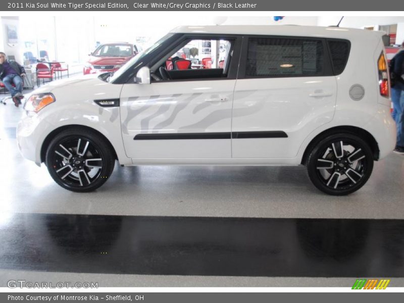 Clear White/Grey Graphics / Black Leather 2011 Kia Soul White Tiger Special Edition