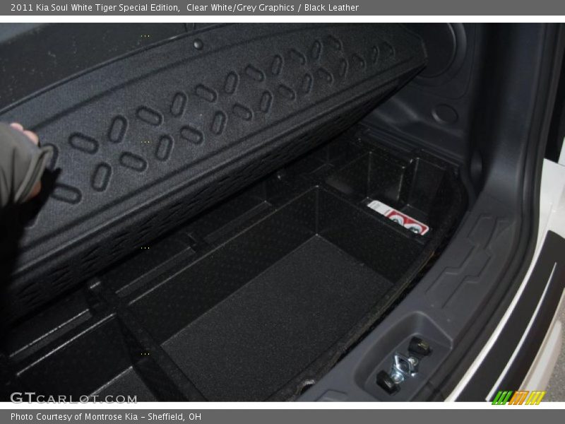 Clear White/Grey Graphics / Black Leather 2011 Kia Soul White Tiger Special Edition