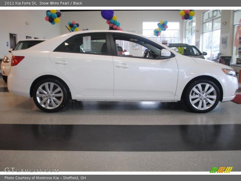 Snow White Pearl / Black 2011 Kia Forte SX