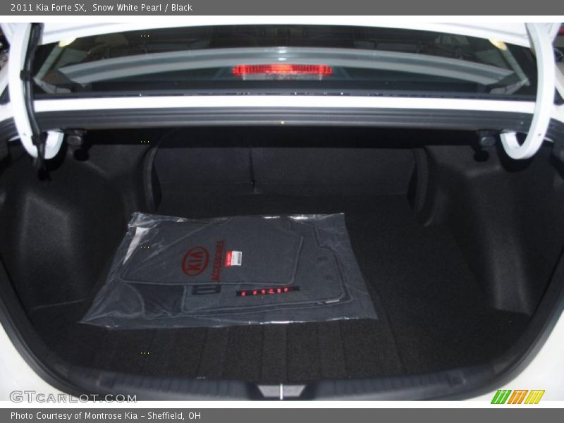  2011 Forte SX Trunk