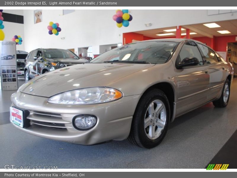 Light Almond Pearl Metallic / Sandstone 2002 Dodge Intrepid ES