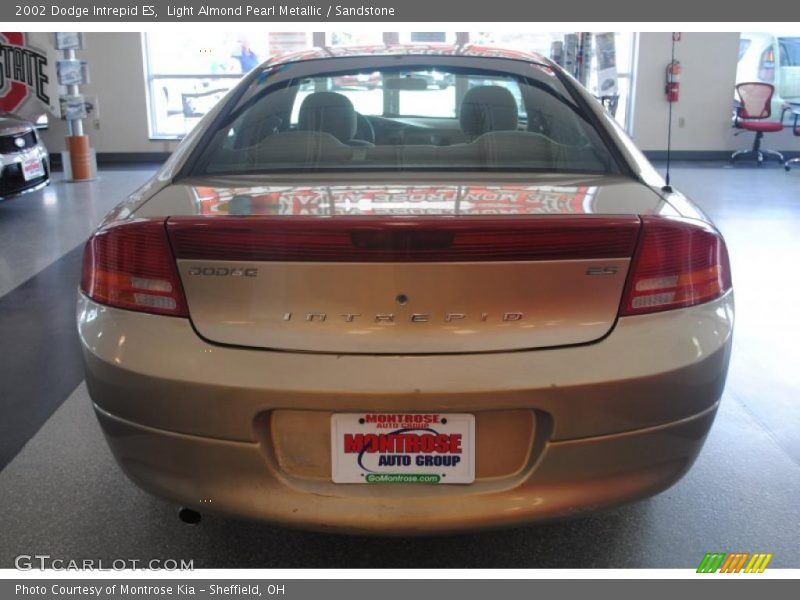 Light Almond Pearl Metallic / Sandstone 2002 Dodge Intrepid ES