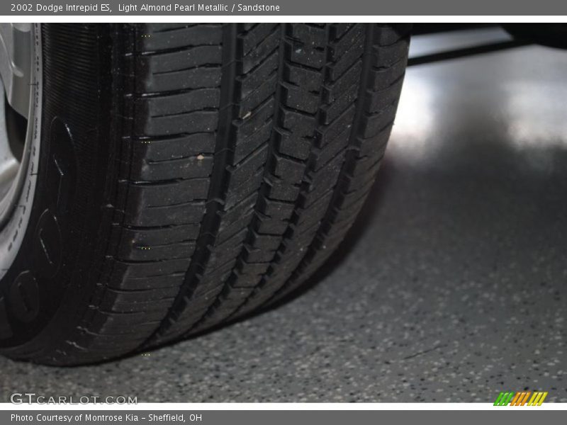 Light Almond Pearl Metallic / Sandstone 2002 Dodge Intrepid ES