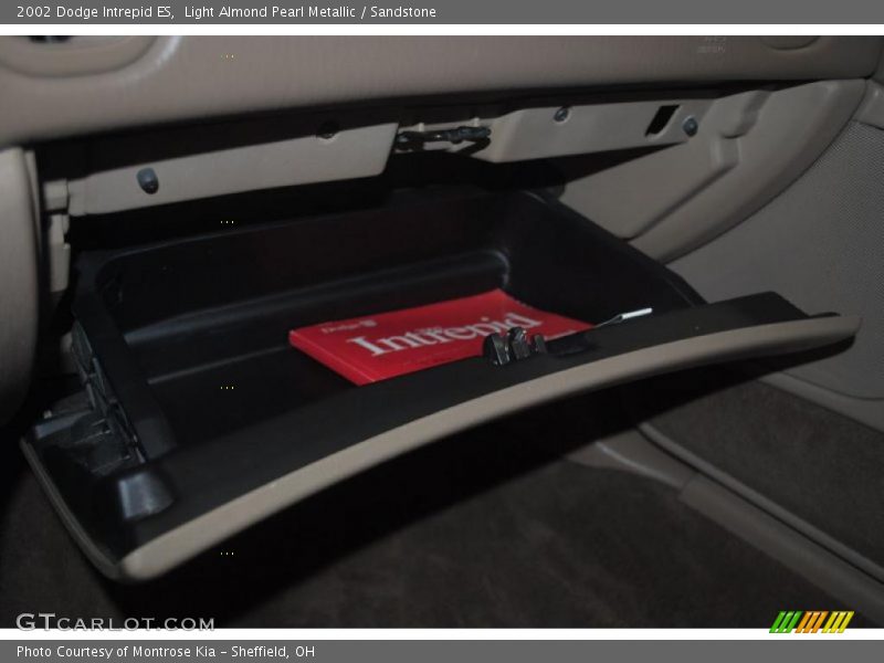 Light Almond Pearl Metallic / Sandstone 2002 Dodge Intrepid ES