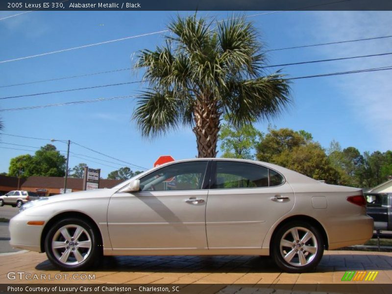 Alabaster Metallic / Black 2005 Lexus ES 330