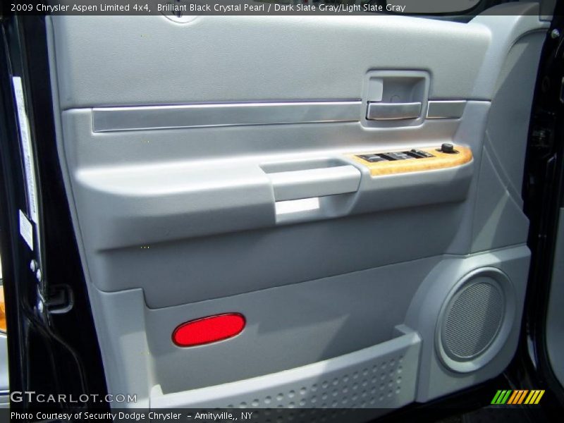 Door Panel of 2009 Aspen Limited 4x4