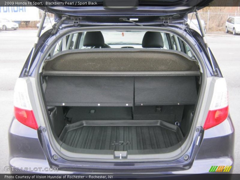 Blackberry Pearl / Sport Black 2009 Honda Fit Sport