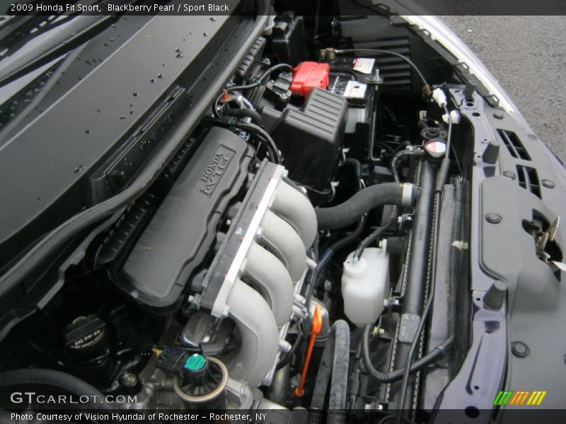 Blackberry Pearl / Sport Black 2009 Honda Fit Sport