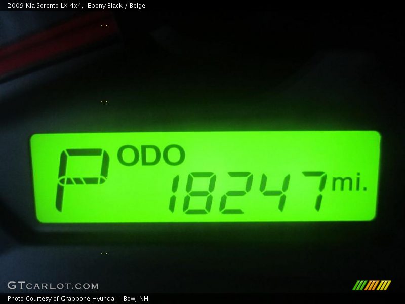 Ebony Black / Beige 2009 Kia Sorento LX 4x4