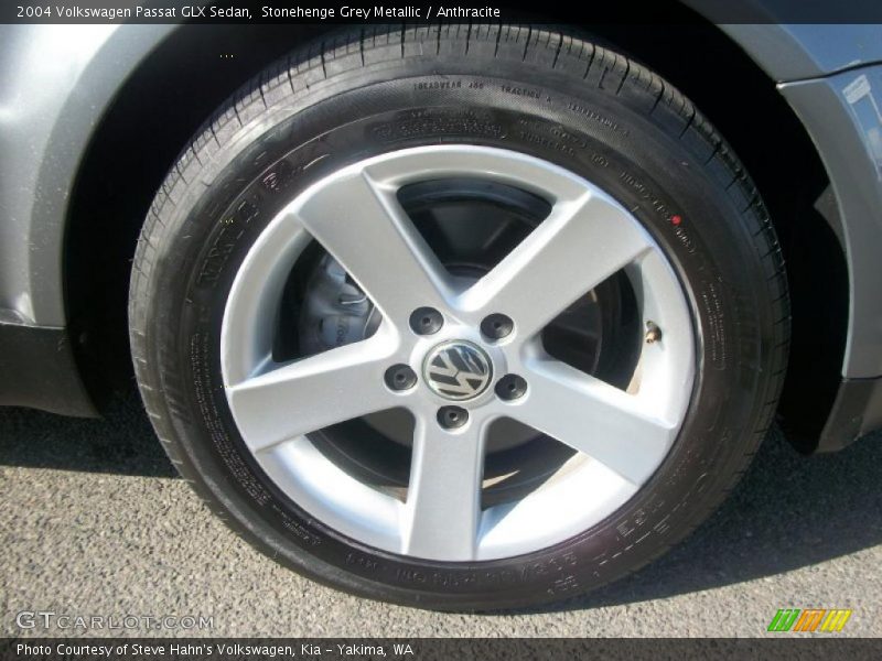  2004 Passat GLX Sedan Wheel