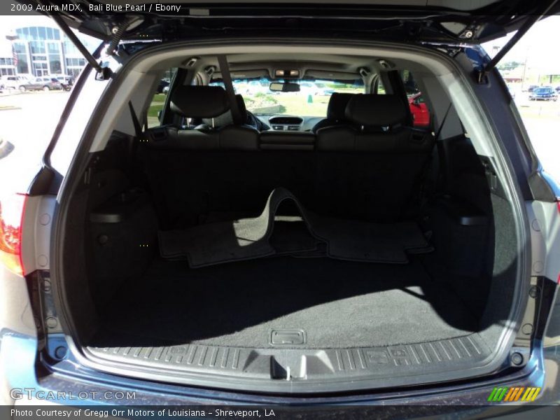 Bali Blue Pearl / Ebony 2009 Acura MDX