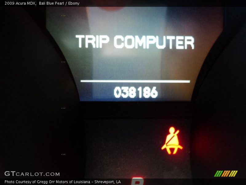 Bali Blue Pearl / Ebony 2009 Acura MDX