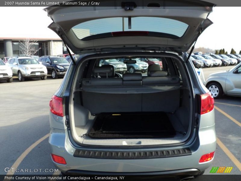 Platinum Sage / Gray 2007 Hyundai Santa Fe Limited