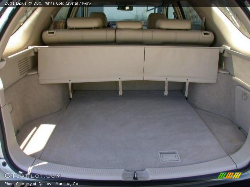 White Gold Crystal / Ivory 2001 Lexus RX 300