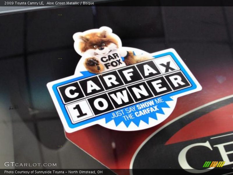 Aloe Green Metallic / Bisque 2009 Toyota Camry LE