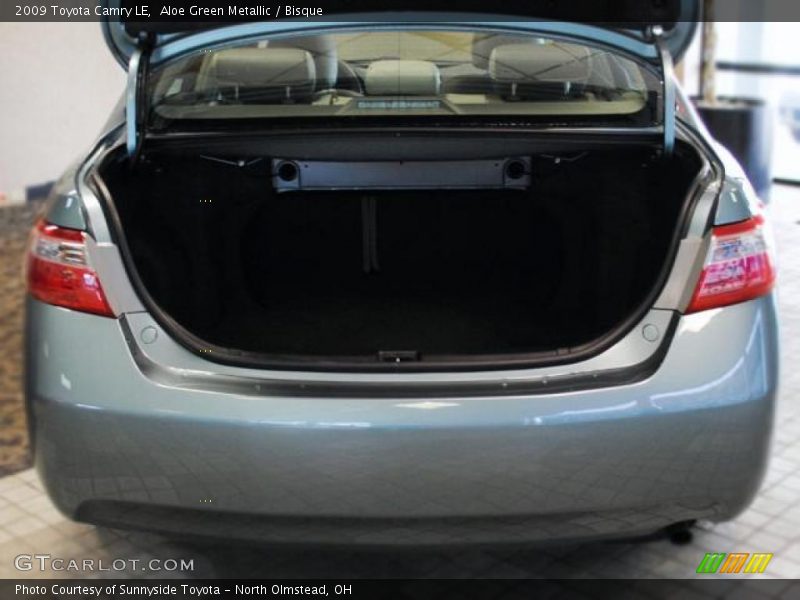 Aloe Green Metallic / Bisque 2009 Toyota Camry LE